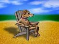 Собаки смогут безбоязненно посещать один из пляжей Айа-Напы